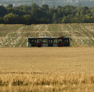 Autobus na poli